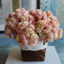 Artificial Fruit Succulent Grass Plant Desert Landscape Flower Decor Pink