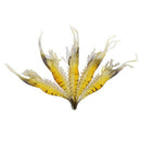 5Pcs 9cm 4g Outdoor Fishing Lure Soft Simulation Lightweight Shrimp Prawn B