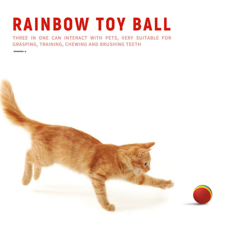 Pet Chewing Toys for Small Cat Dog EVA Scratching Rainbow Ball (10pcs L)