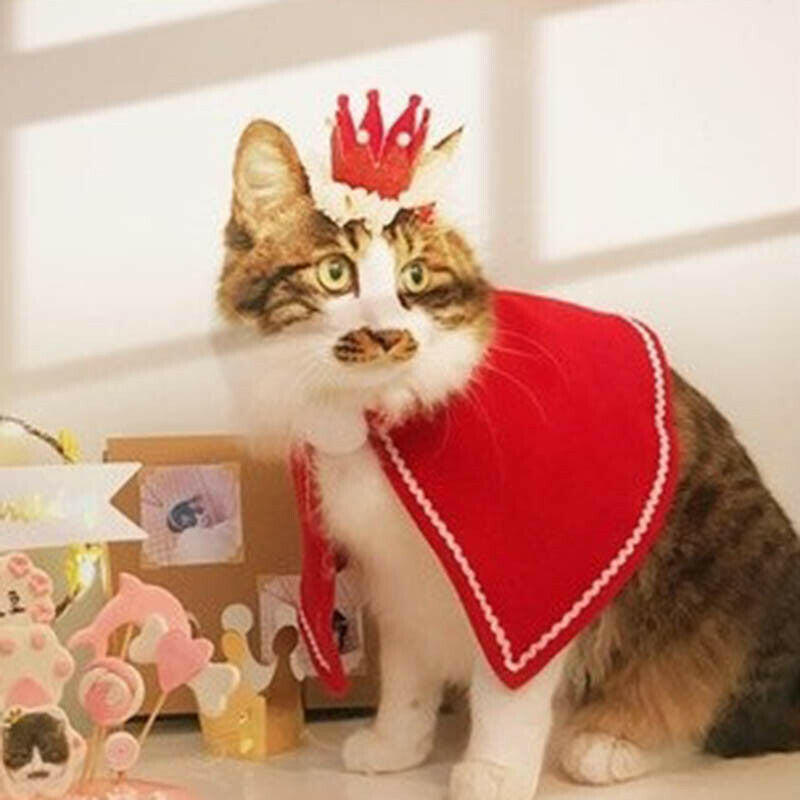 Dog Cat Pet Hair Clip Cute Lace Princess Crown Birthday Decoration Pet SupplieOZ