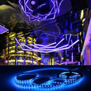5M 5050 SMD 300 LED Strip light chain 12V DC RGB