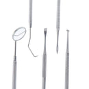 10 piece stainless steel tooth care probe dental tool set BX