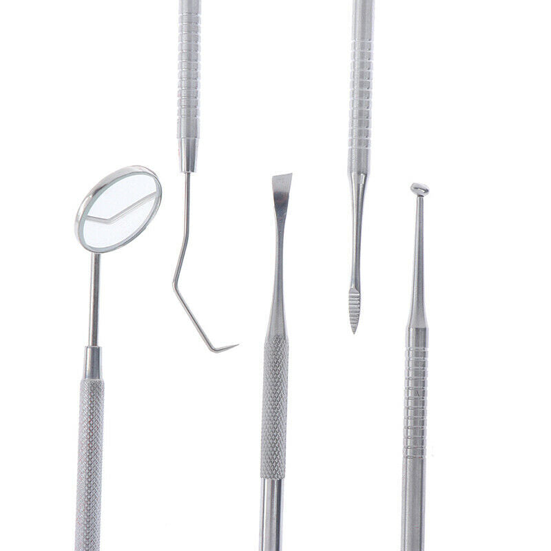 10 piece stainless steel tooth care probe dental tool set BX