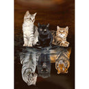 Full Square Drill 5D Diy Diamond Painting "Animal Cat" Embroidery Cross Sti R5E9