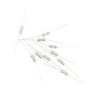 10pcs Glass Tube Fuse Axial Leads 3.6*10mm 2A Slow Blow Ew