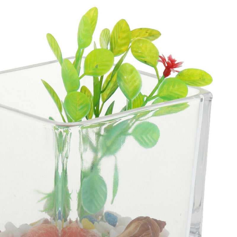 Tabletop Square Aquarium Fish Glass Vase Tank Plant Home Decoration 10x10x10cm