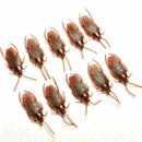 20Pcs Halloween Realistic Rubber Roach Cockroach Simulation Bug Toys L6N8. E2A9