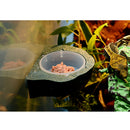 2pcs Mini Magnet Feeding Ledge For Gecko Diet, Food or Water & Plastic Cup Bowl