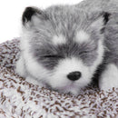 Sleeping Dog Bamboo Charcoal Bag Deodorant Car Interior Air Freshener Decor