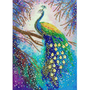 5D DIY Special Shaped Diamond Painting Peafowl Embroidery Mosaic Kit Decor