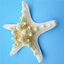 5pcs/lots crafts white bread sea shell starfish, fashion home decorative ha U8F8