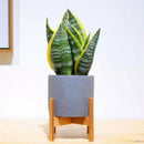 Retractable Indoor Plant Flower Pot Planter Stand Assembly Wood Holder Wood