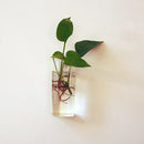 Clear Ball Shape Glass Flower Vase Plant Bottle Home Decor Terrarium Home Office