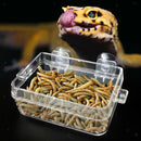 3 Pieces Plastic Tortoise Reptile Terrarium Water Dish