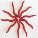 50x Soft Lure Red Worms Earth Worm Fishing Baits Trout fish Lures tackle 3.5cm