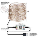 USB Bluetooth App Control 50 LED String Light Christmas Decoration (5m) A