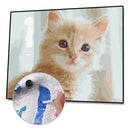Painting By Numbers Kit DIY Silly Cat Hand Painted Canvas Oil Art Picture