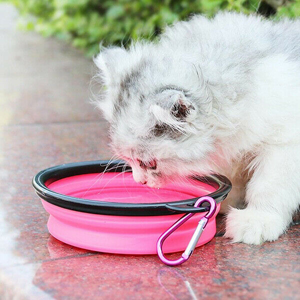 2 In 1 Folding Dogs Cats Feeder Water Food Bottle Outdoor Travel Pet Bowls