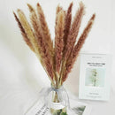 15Pcs Natural Dried Pampas Grass Reed Flower Bunch Wedding Bouquet Home Decors