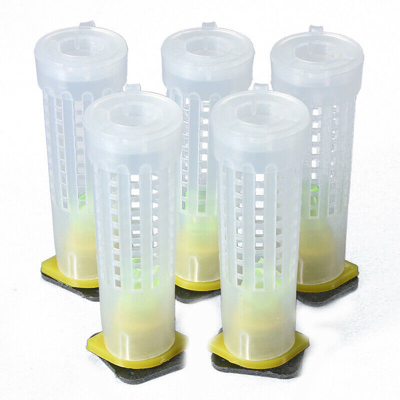 5 Beekeeping Rearing Cup kit Queen Bee Hair Roller Cages Beekeepers Equip