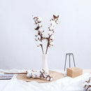 Naturally Dried Cotton Stems Artificial Flower Floral Decor Valentines L_XR3C