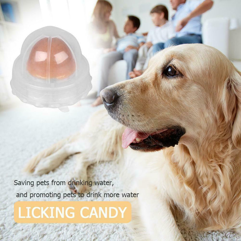 Healthy Dog Sugar Snacks Licking Candy Nutrition Energy Ball Toys (Dog)