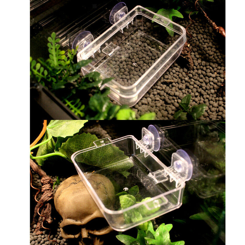 3 Pieces Plastic Tortoise Reptile Terrarium Water Dish