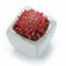 4Pcs/Set Artificial Succulent Plants + White Square Ceramic Pots succulent  F4F8