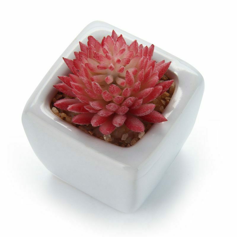 4Pcs/Set Artificial Succulent Plants + White Square Ceramic Pots succulent  F4F8