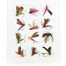 12pc/set Fishing Flies Trout Tackle Accessories Lures Butterfly Barb HoMO