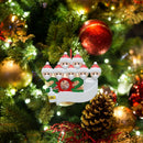 Christmas Birthdays Party Decoration Family Social Distancing Ornament (2)