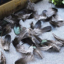 50pcs Lady Amherst natural green pheasant feathers fur craft/millinery/