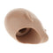 1/6 Scale Plastic Mannequins Head Sculpture Modes for 12inch Action Figures