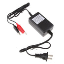 6V 2 Amp Smart Motorcycle Car E-bike Battery Charger