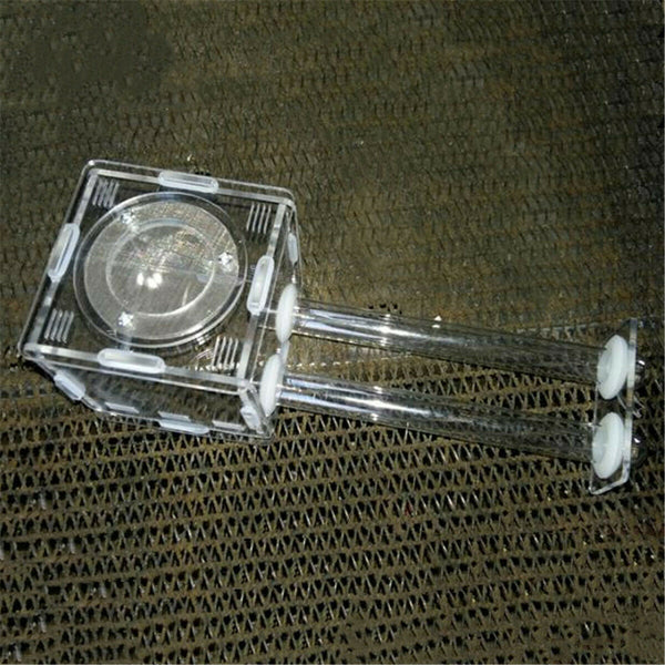 Glass Tubes Ant Nest with Active Zone Ant Farm Formicarium With Water Feeding