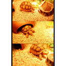 Breathable Odorless Corn Cob Fiber Mat Tortoise Pet Reptile Bedding Liner