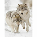 5D round diamond wolf pattern painting DIY cross stitch painting home decor