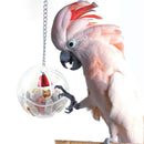For Treat Parrots Birds Ball Toys Food Feeder Cage Hanging Bell Foraging C BQJ