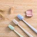 4pcs/Set Portable Travel Toothbrush Cover Wash Brush Cap Case Box LJ