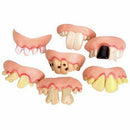 10pcs Ugly Teeth Halloween Party Prop Costume Random Type D3Z5