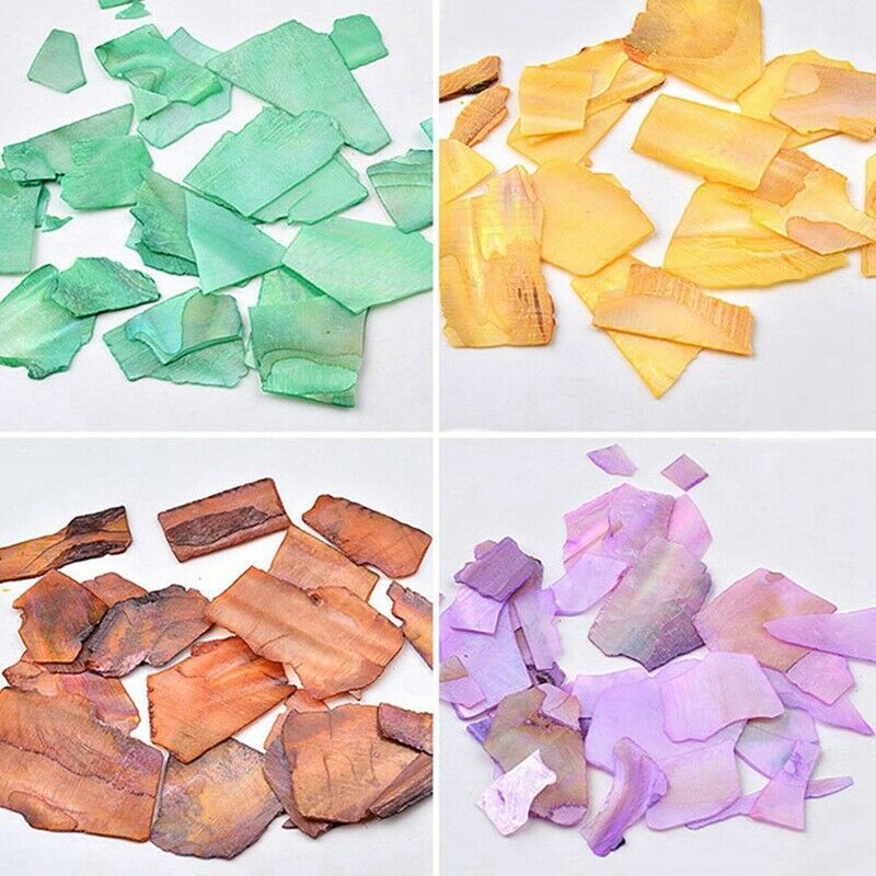 1 Set 12 Mix Color Crushed Shell Fragment for False Acrylic UV Gel Tip Nail G9V8