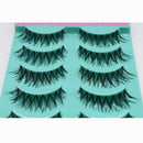 5 Pairs Of False Eyelashes Refined Manual Sharpening Soft Transparent terrier