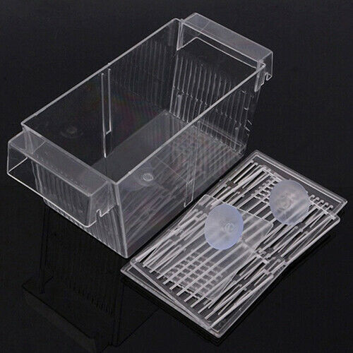 Aquarium Fish Tank Guppy Double Breeding Breeder Rearing Trap Box Hatchery Delux