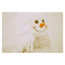 3x5ft Photography Vinyl Background Christmas Theme Snowman Backdrops