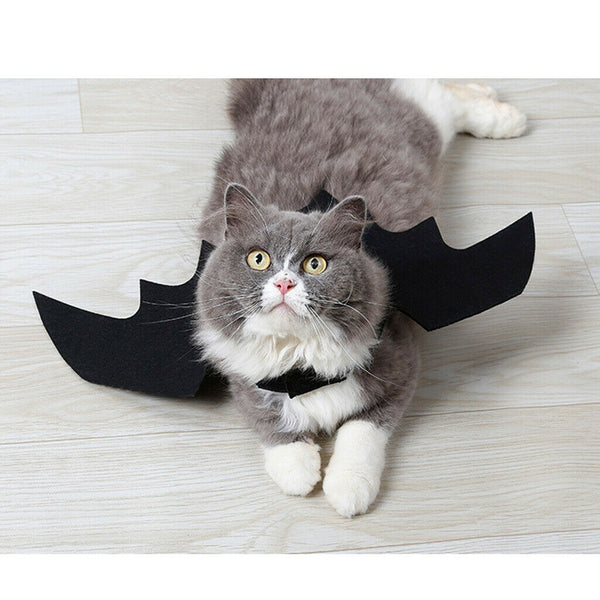 Pet Cats Bat Wings Kittens Black Bat Transfiguration Halloween Cat Costume