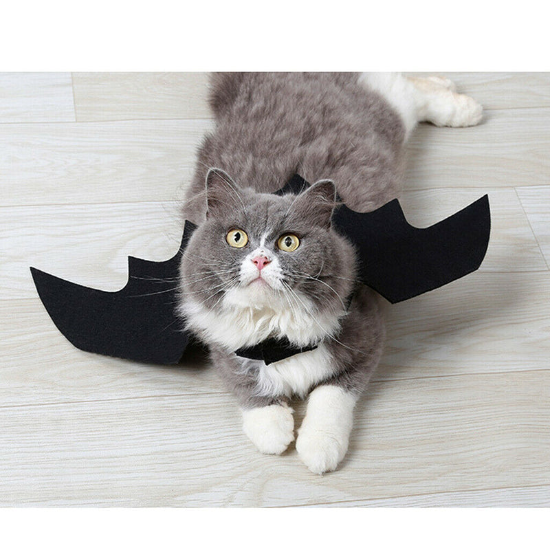 Pet Cats Bat Wings Kittens Black Bat Transfiguration Halloween Cat Costume