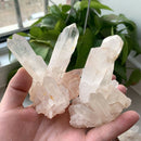 20-30g Natural White Clear Healing Quartz Crystal Cluster Mineral Specimen AU