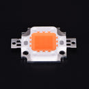 10W 380-840nm Full Spectrum LED Plant Grow Chip High Power LED Light  OZ
