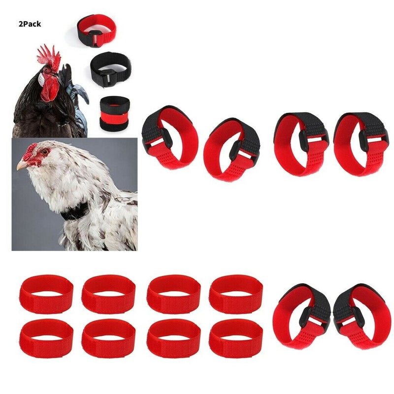 8 Pieces Rooster Collars Prevent Chicken From Being Chicken Red After Poultry