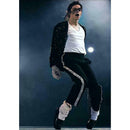 5D DIY Full Drill Diamond Painting Michael Jackson Embroidery Kits (hgx001)